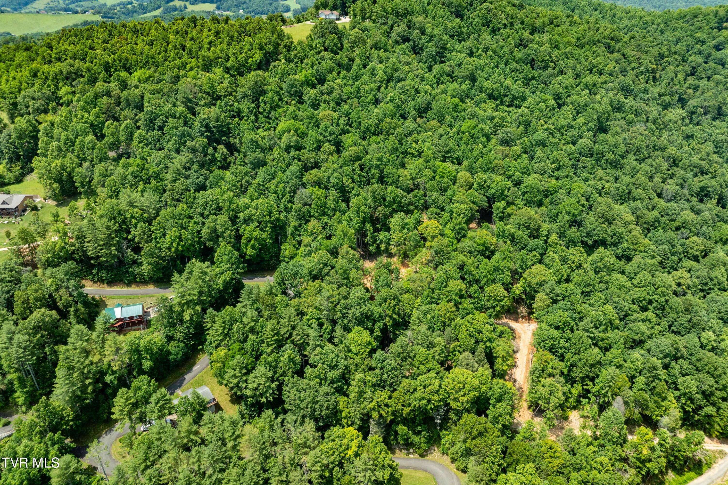Butler, TN 37640,Lot 2 Lake Ridge RD