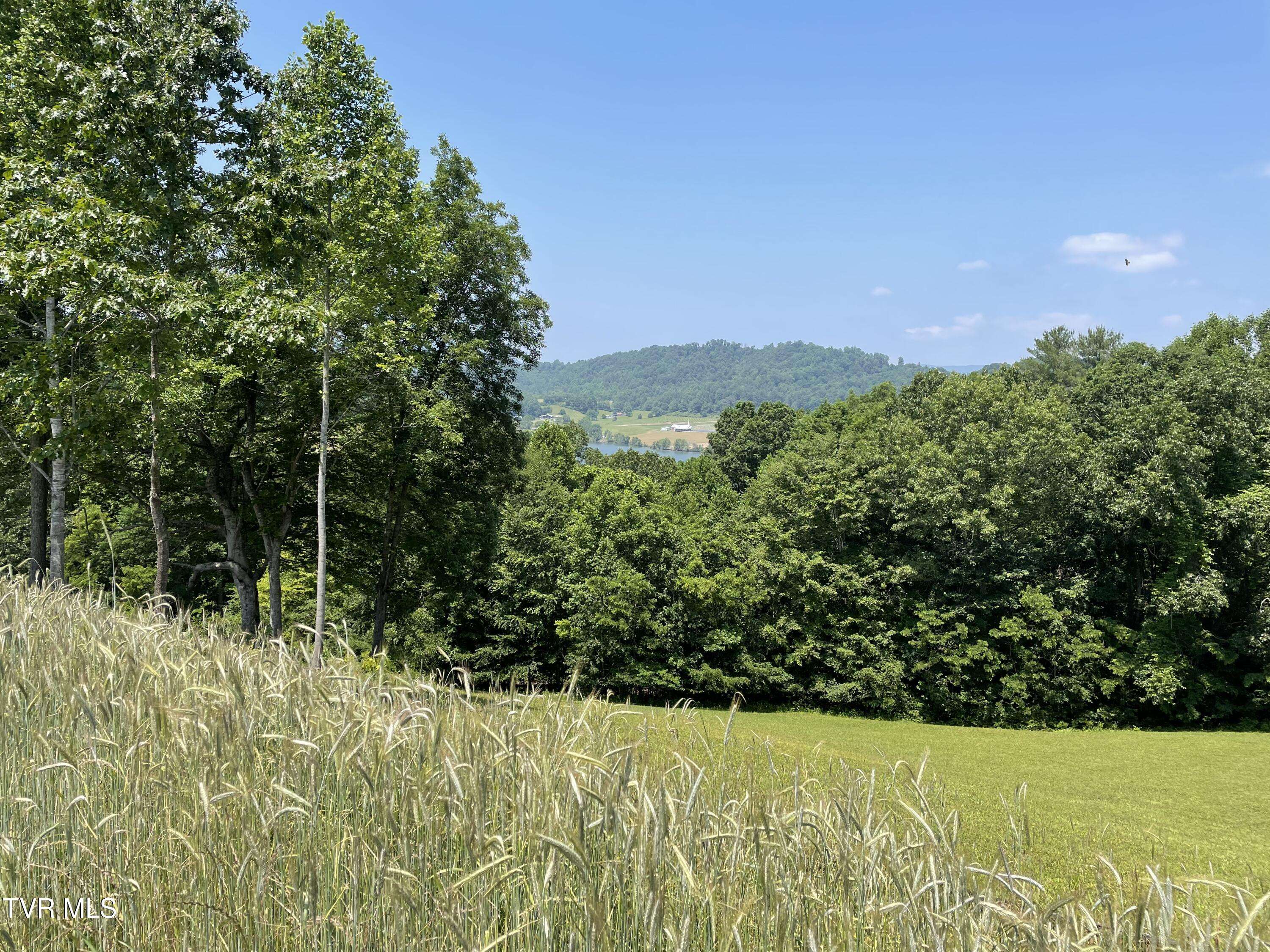 Butler, TN 37640,Tbd Lake Mist Trail