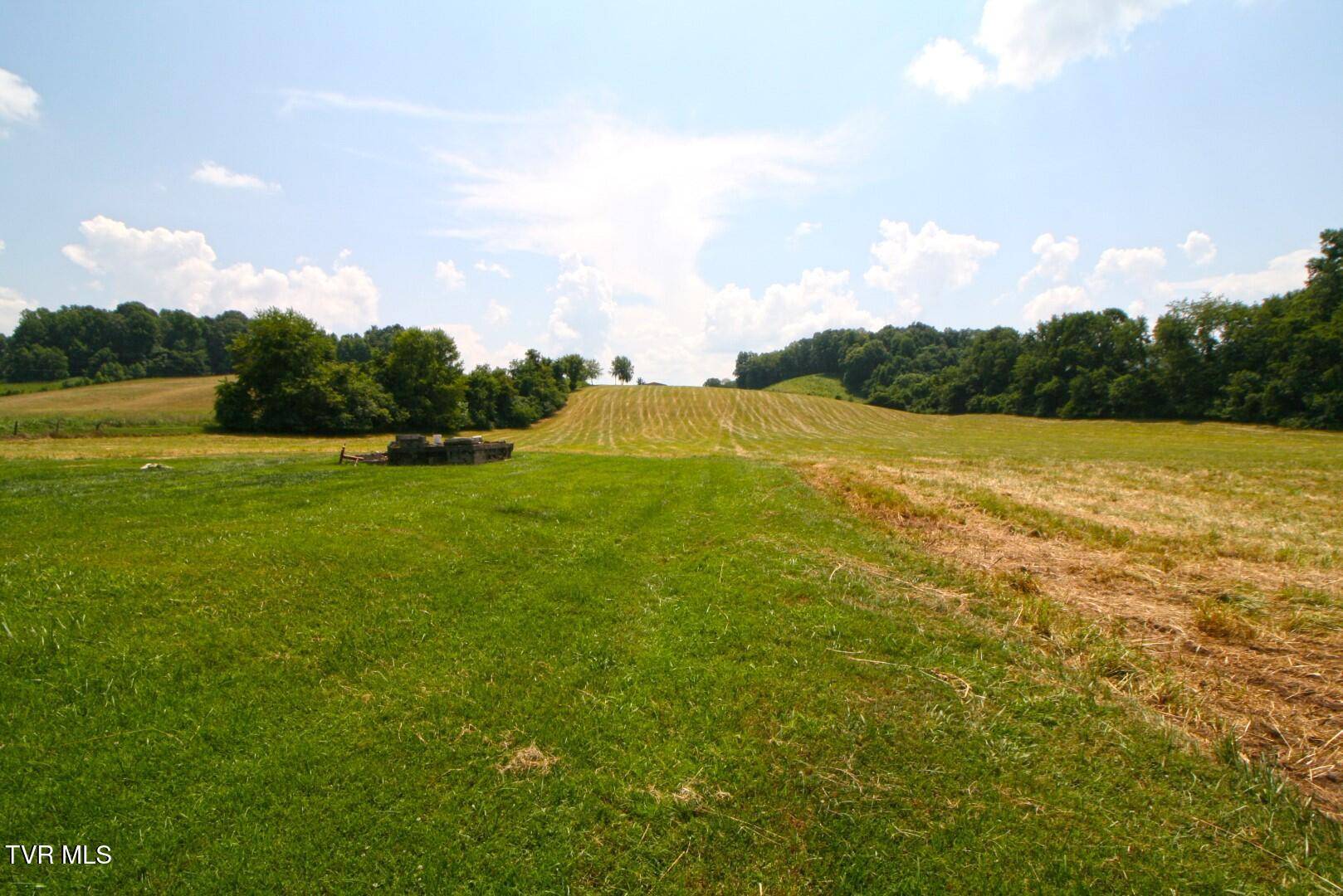 Elizabethton, TN 37643,637 Long Hollow RD