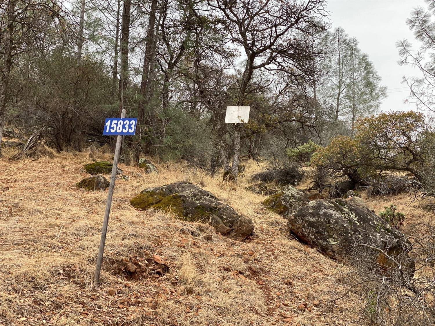 Grass Valley, CA 95949,15833 Harley CT