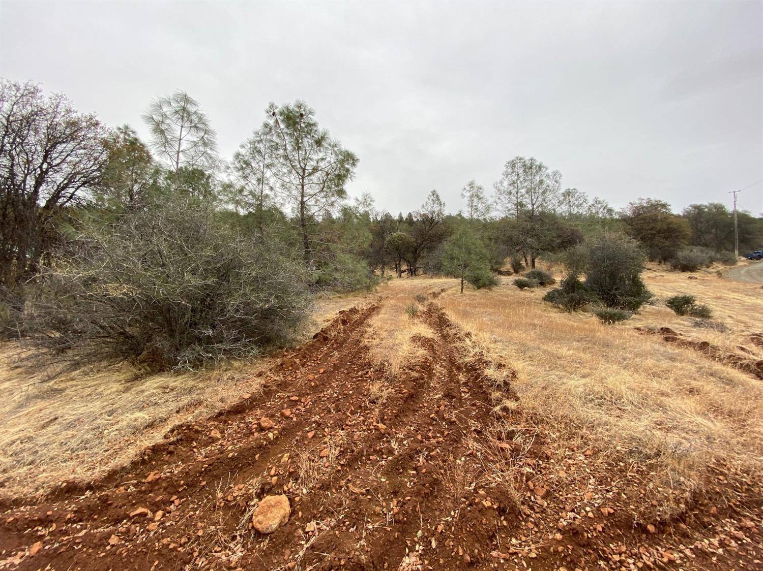 Grass Valley, CA 95949,15833 Harley CT