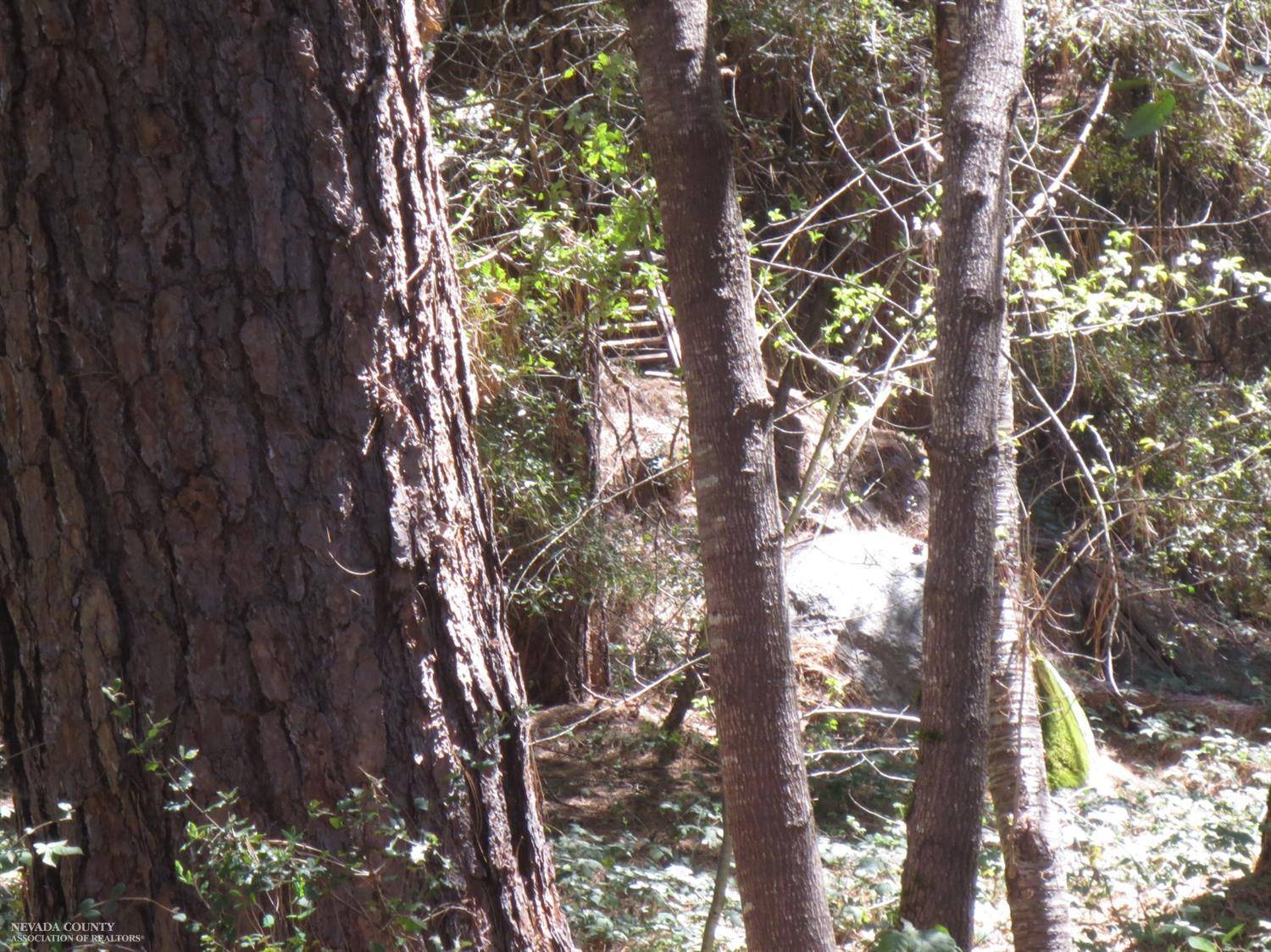 Nevada City, CA 95959,15148 Lewis RD
