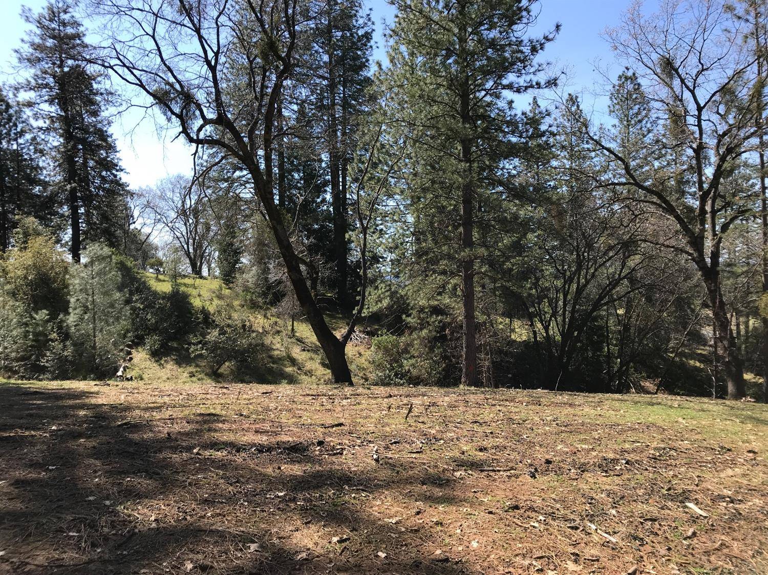 Placerville, CA 95667,3641 Kincade DR