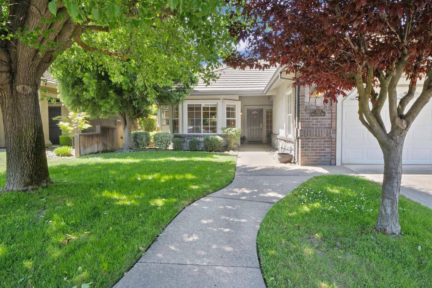 Lodi, CA 95242,717 Black Oak WAY