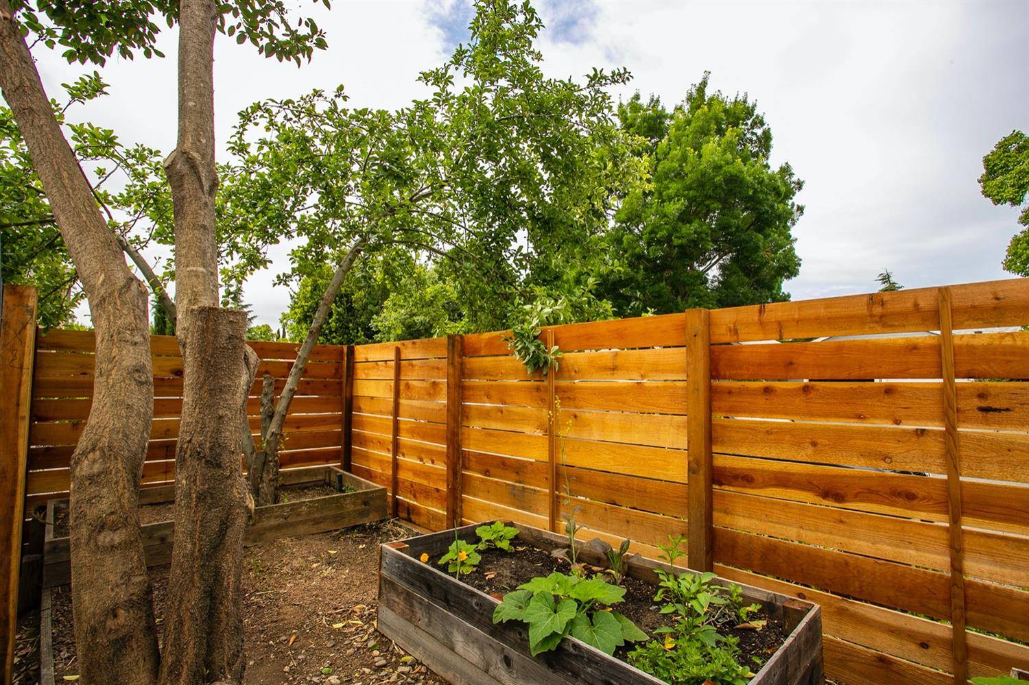 Davis, CA 95616,2502 Amapola DR