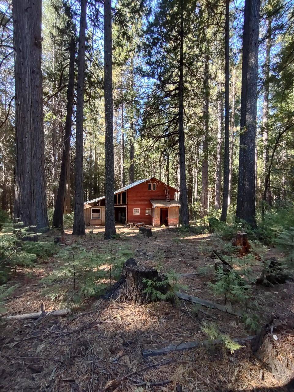 Nevada City, CA 95959,18050 Mobley Springs RD