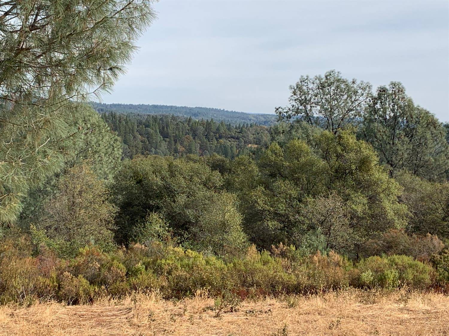 Garden Valley, CA 95633,5221 Terra View LOOP