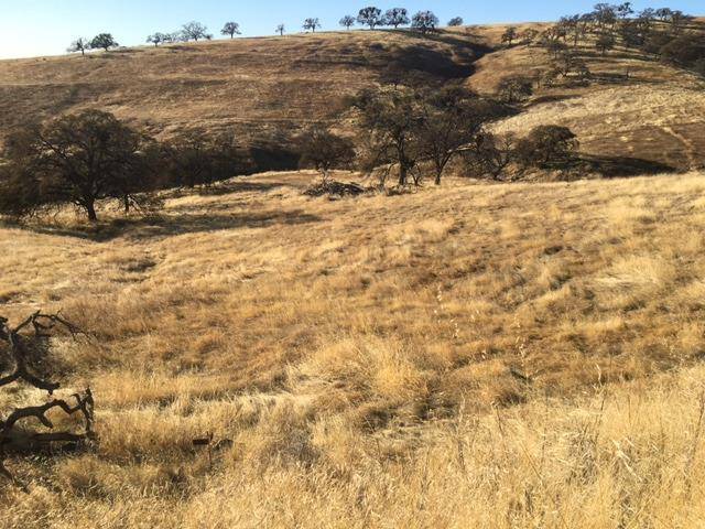 La Grange Unincorp, CA 95329,9983 Hernandez DR