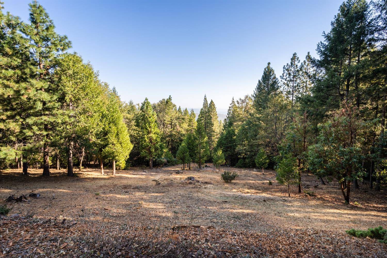 Nevada City, CA 95959,14071 Repose LN