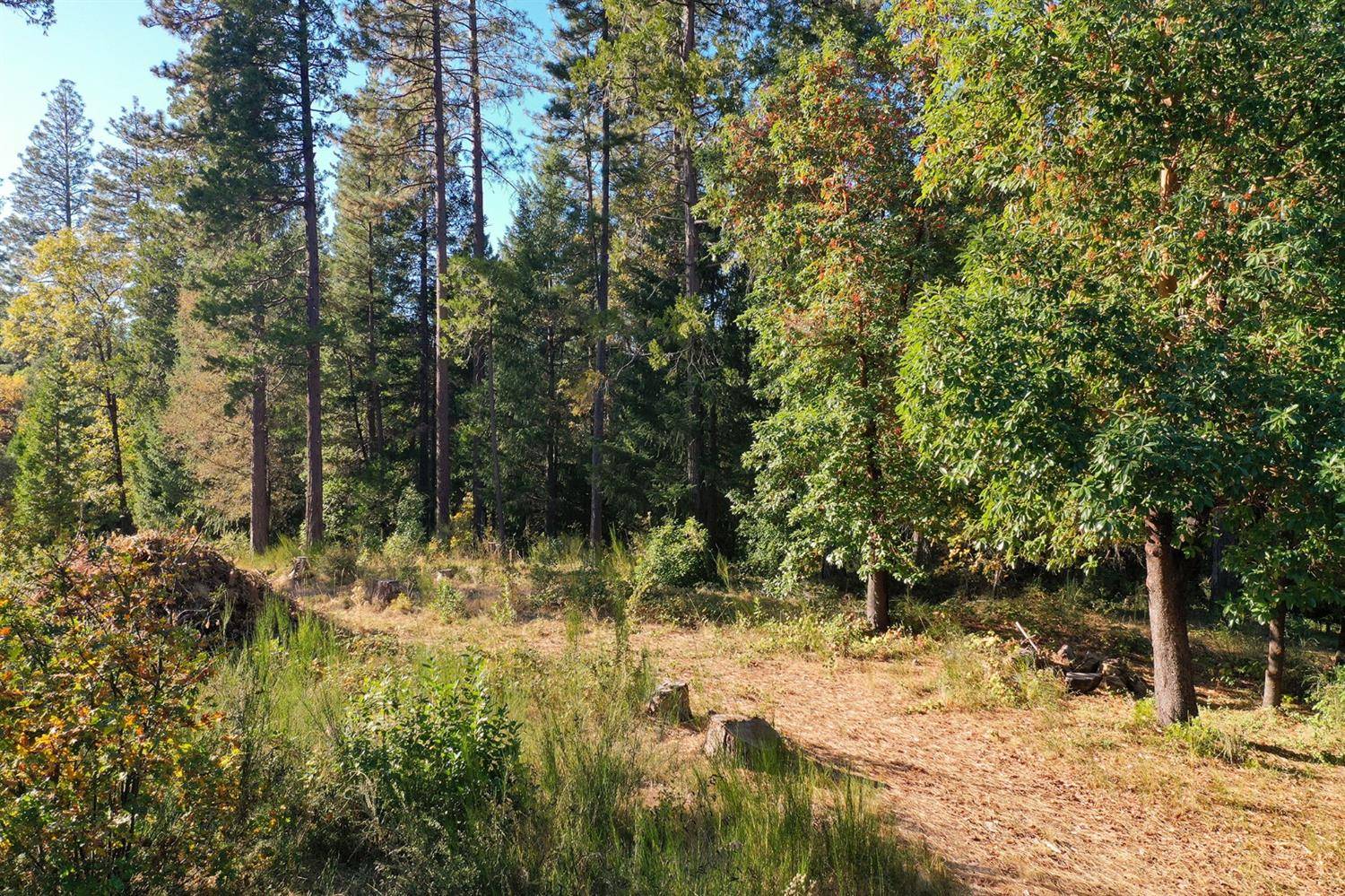 Nevada City, CA 95959,11356 Constitution CT
