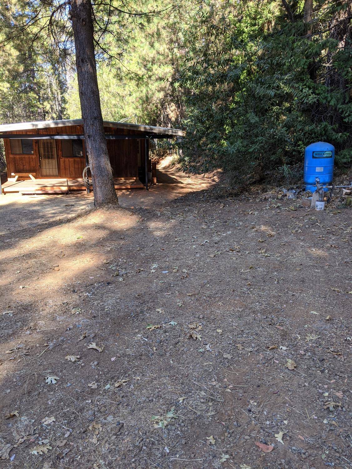 Foresthill, CA 95631,19821 Shirley LN