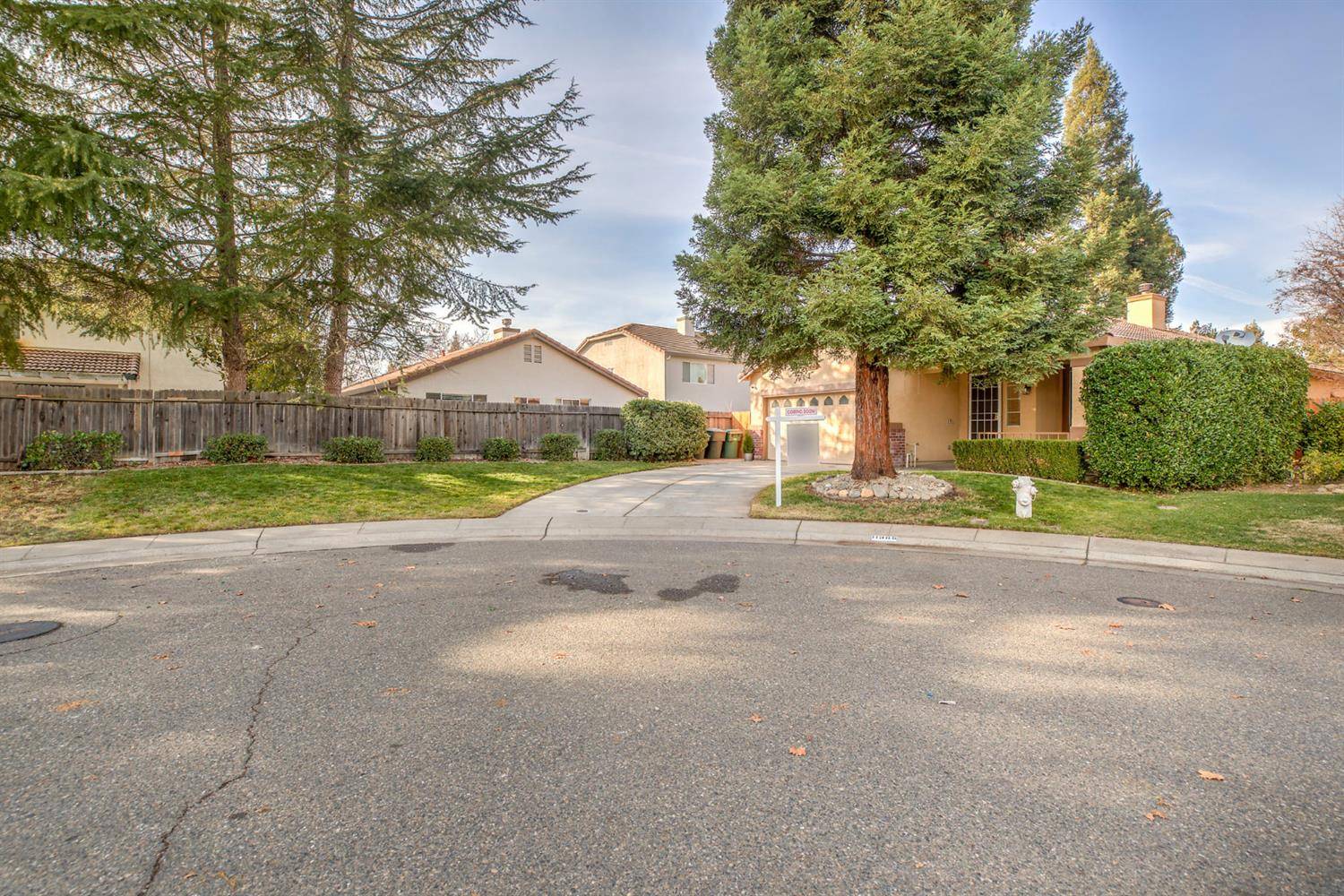 Gold River, CA 95670,11365 Manta PL