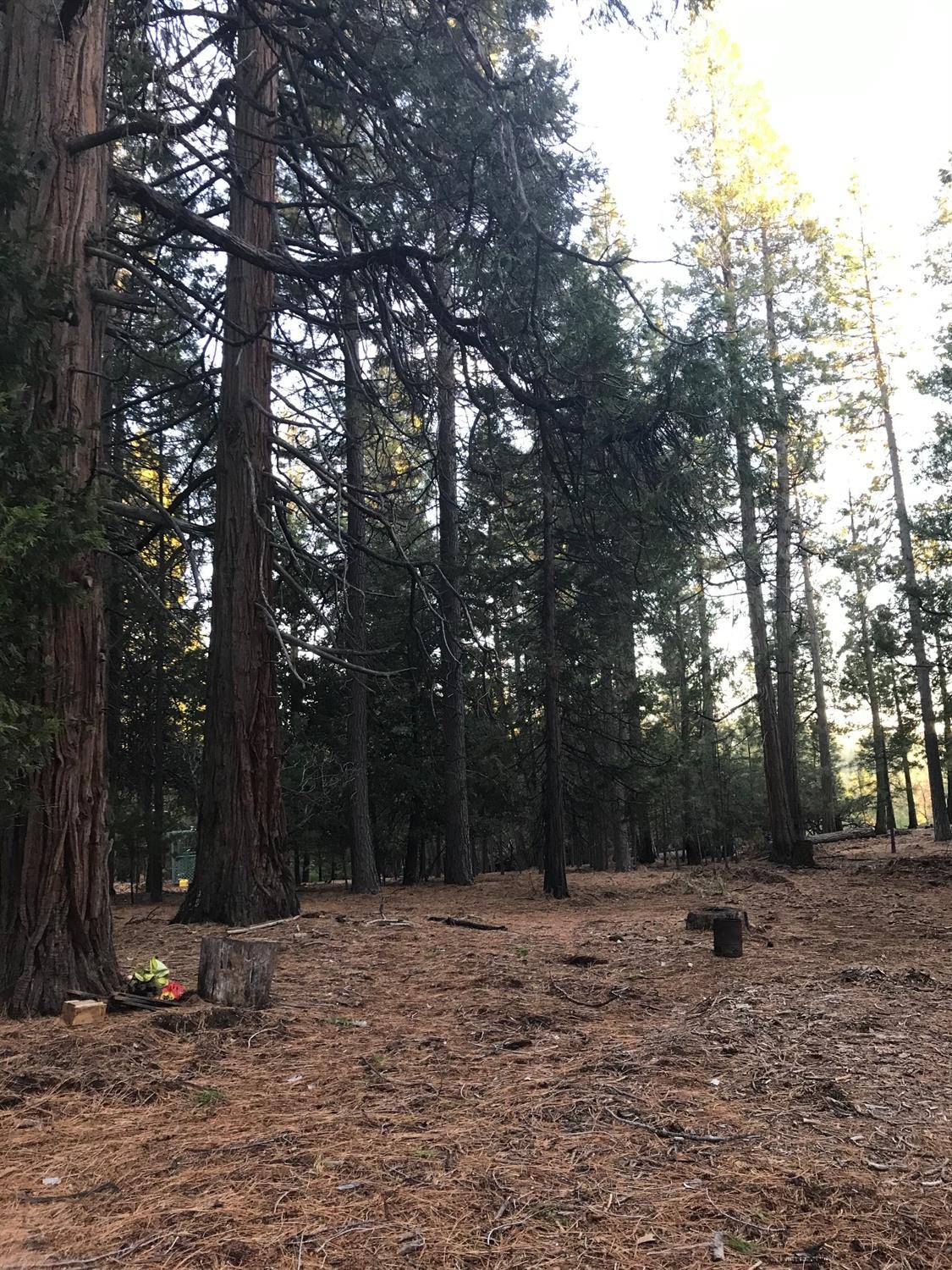 Volcano, CA 95689,25594 Overland DR