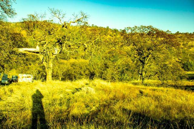 La Grange, CA 95329,571 Pepito DR