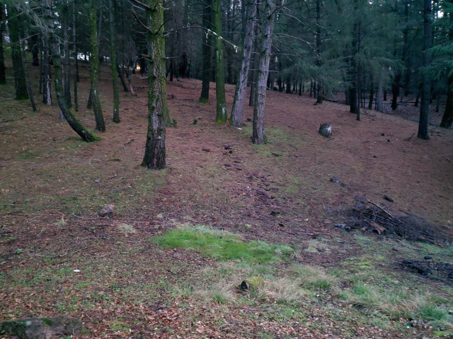 Cool, CA 95614,3052 Talking Mountain TRL