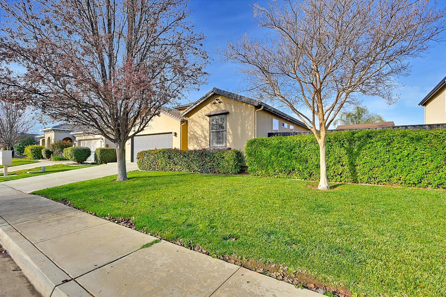 Live Oak, CA 95953,3325 Apricot ST