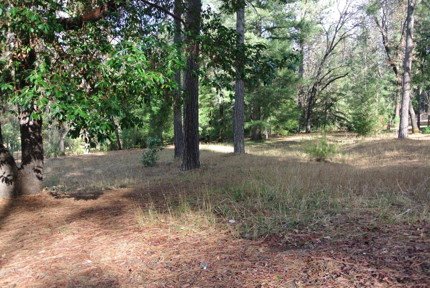 Foresthill, CA 95631,6611 Potter LN