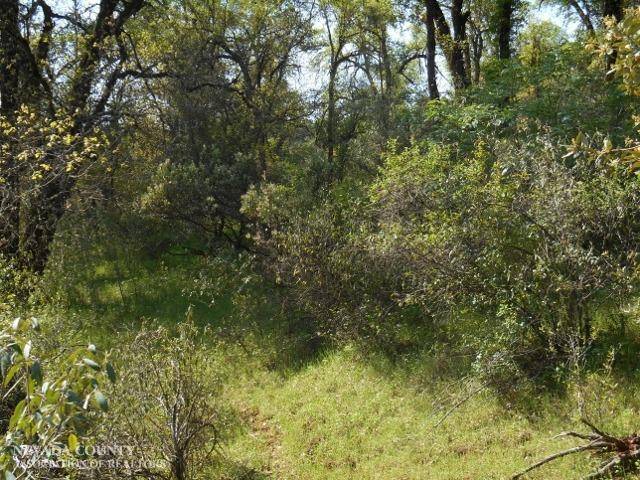 Grass Valley, CA 95945,22040 Round Tuit RD
