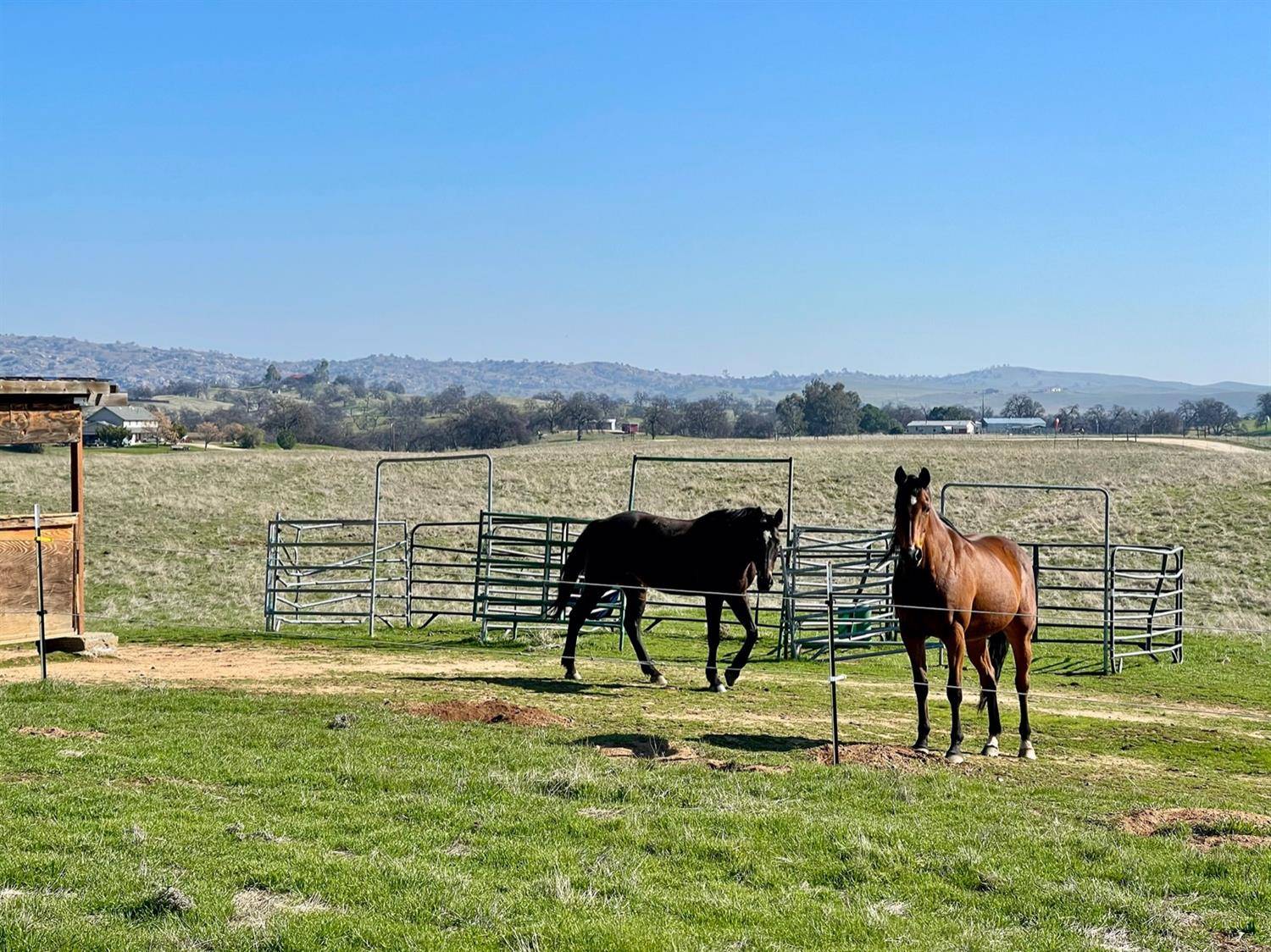 Raymond, CA 93653,25368 Run WAY