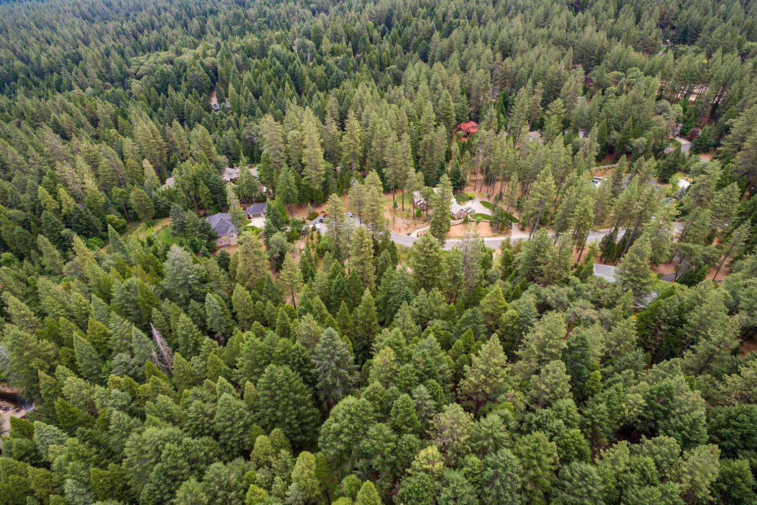 Nevada City, CA 95959,11782 Trish CT