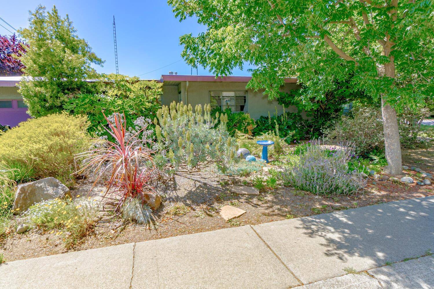 Davis, CA 95616,430 10th ST