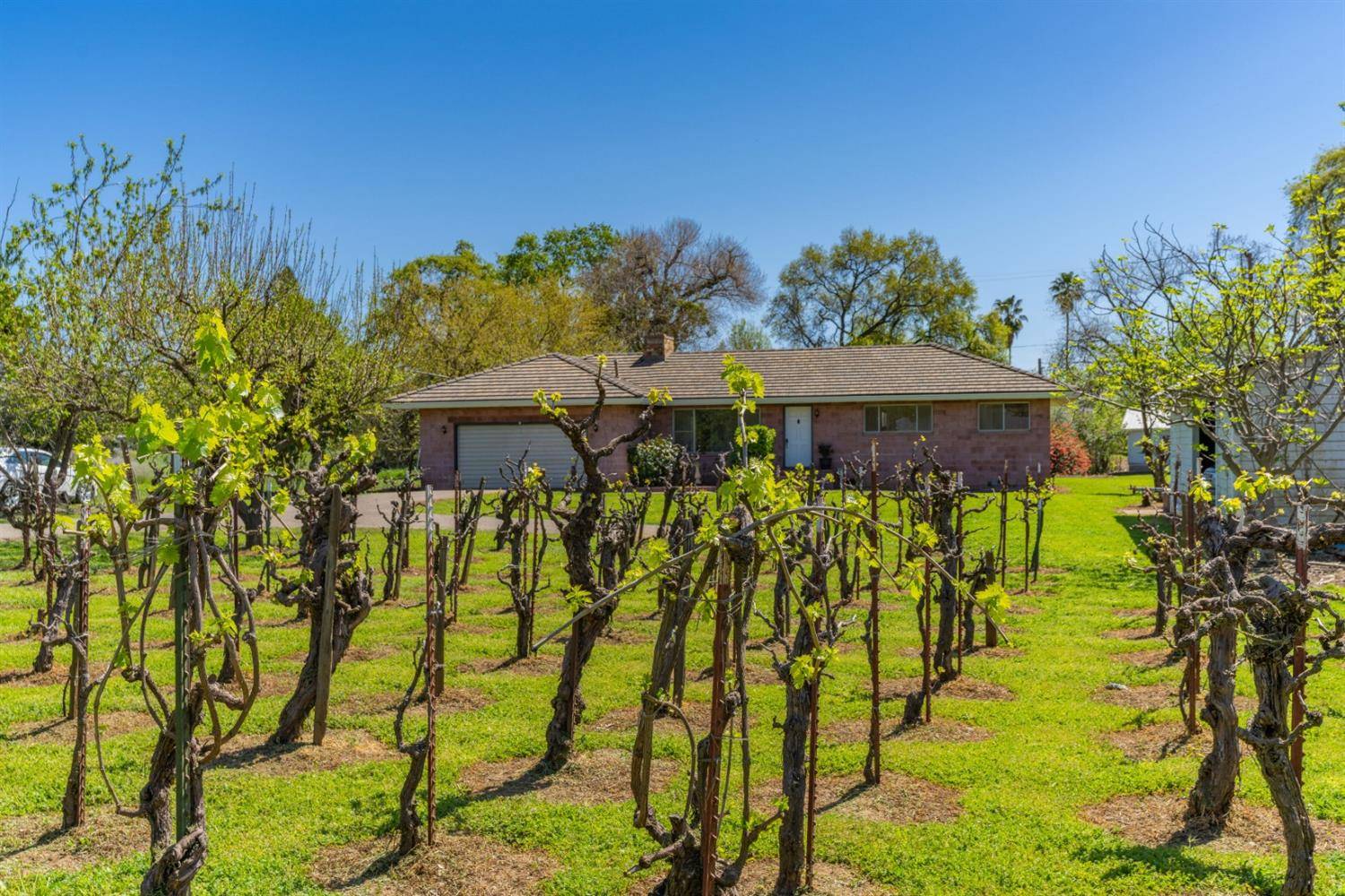 Ione, CA 95640,314 Shakeley LN