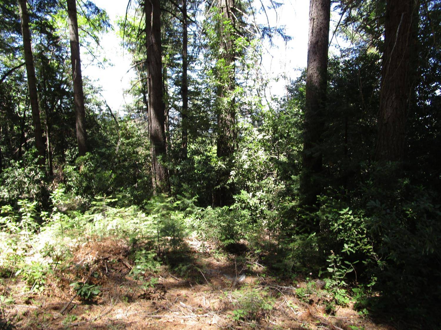 North San Juan, CA 95959,18707 Kaiser CT