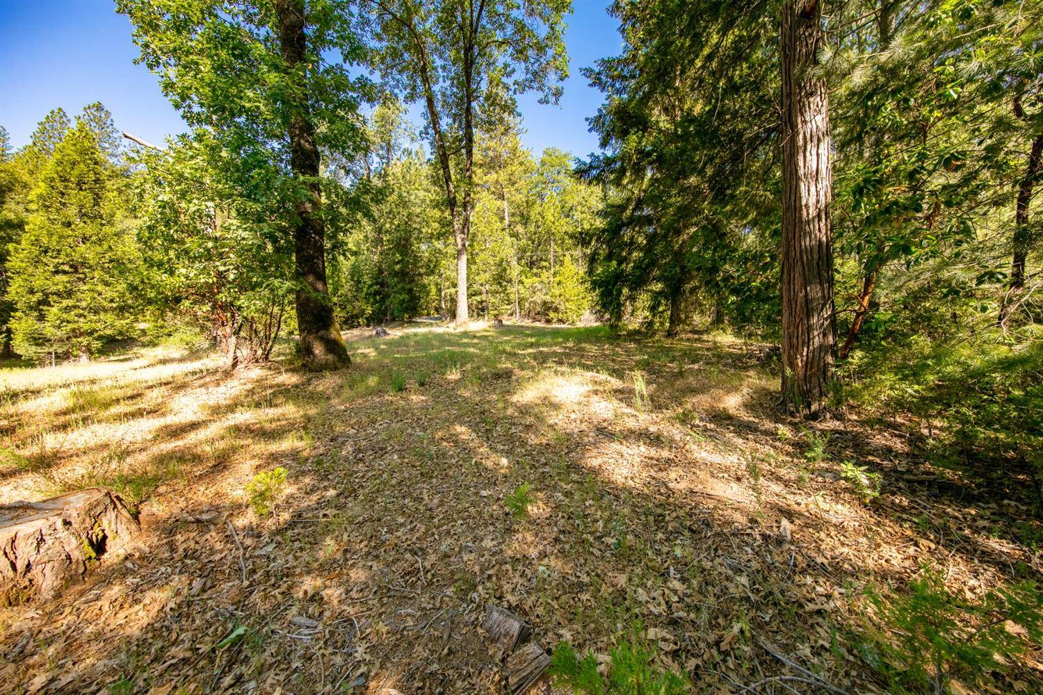 Georgetown, CA 95634,0 Pine Cove and Cedar Dr