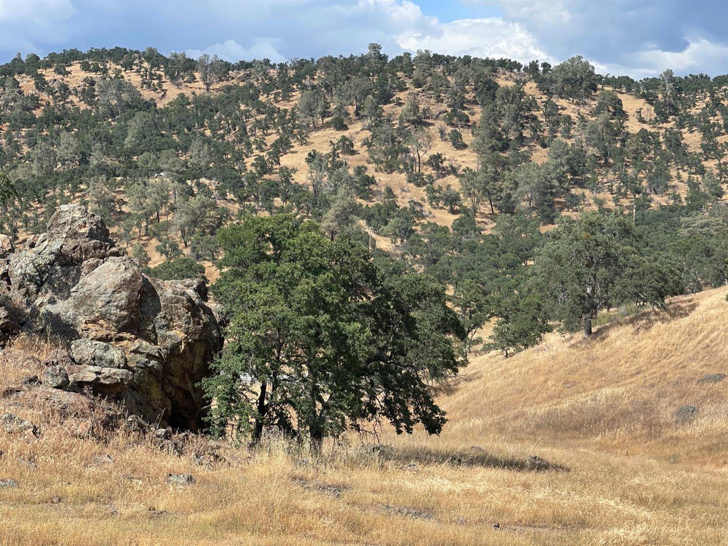 La Grange, CA 95329,0 Pepito DR