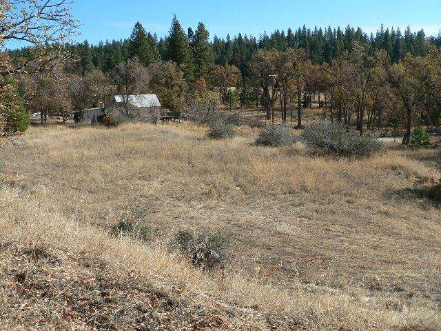 Pioneer, CA 95666,0 Cedar Heights DR