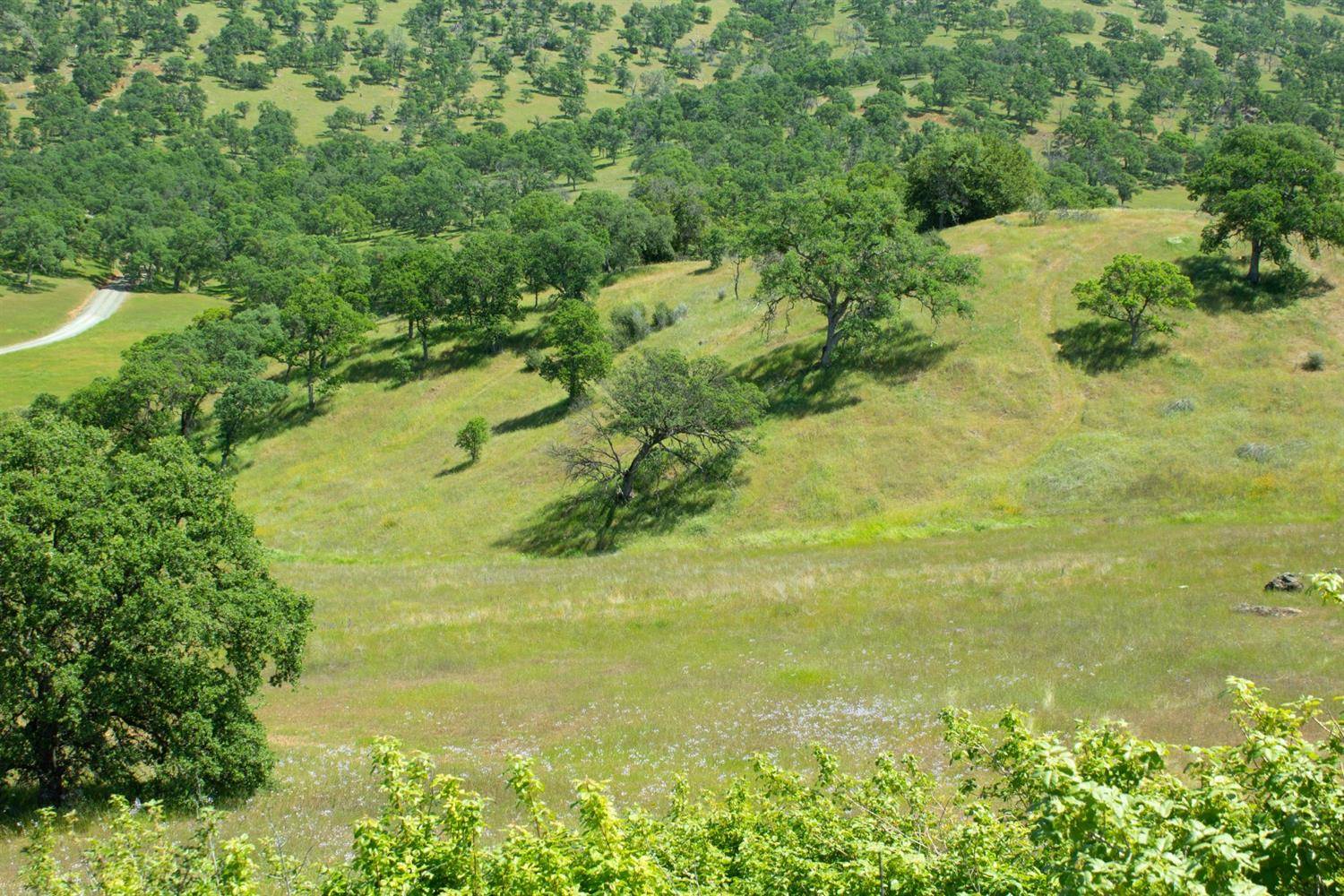 La Grange, CA 95329,2495 Pepito DR