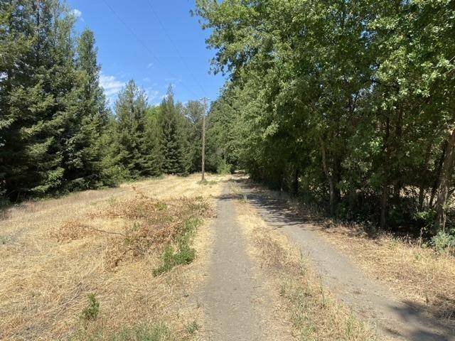 Grimes, CA 95950,1045 Wilson Bend RD