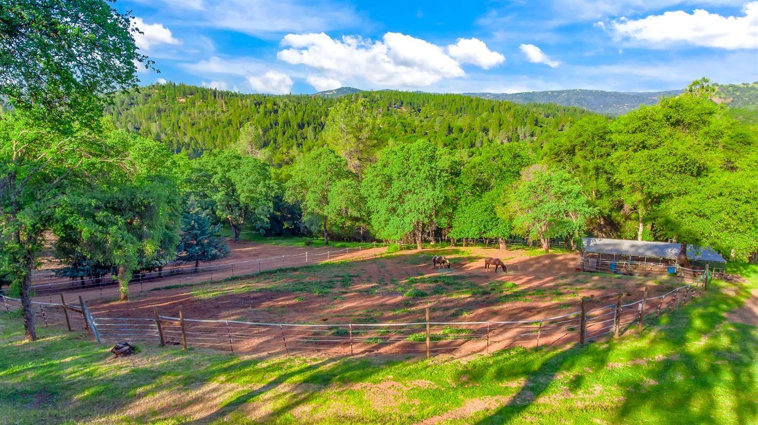 Garden Valley, CA 95633,6520 Garden Park DR