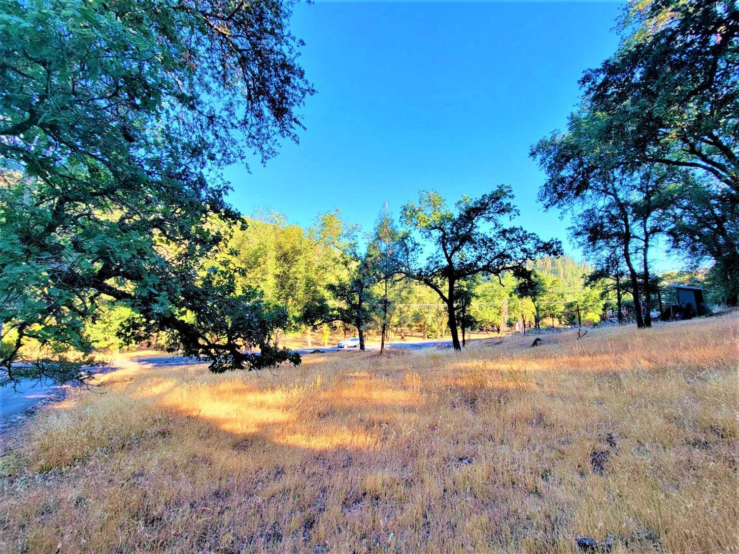 Grass Valley, CA 95949,17378 Brewer RD