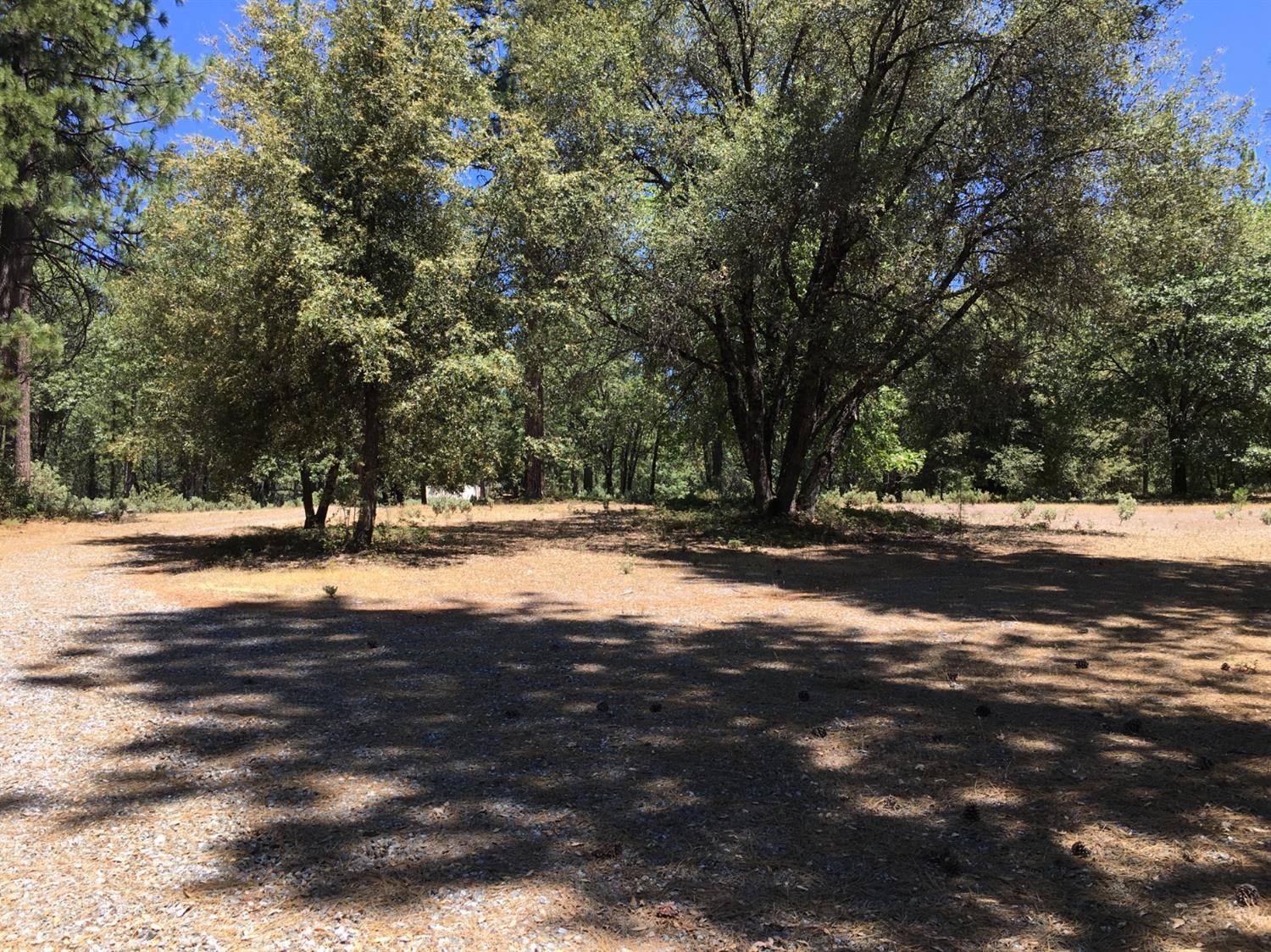 Rail Road Flat, CA 95248,Lot A&B Ridge RD