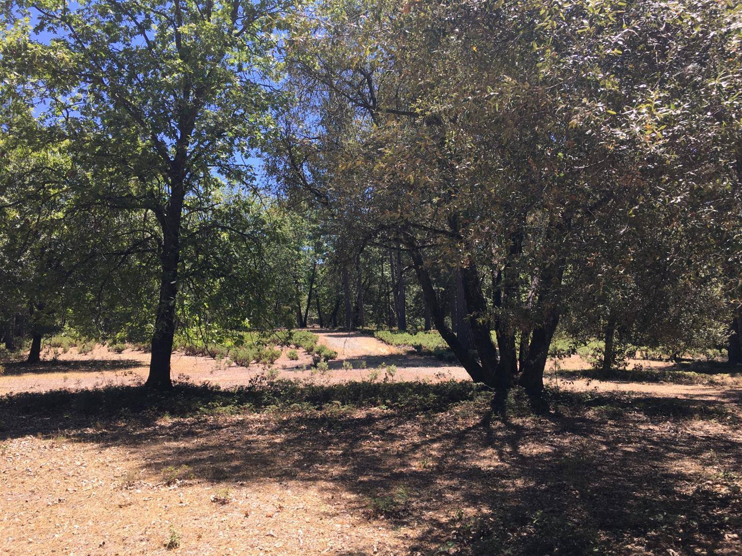 Rail Road Flat, CA 95248,Lot A&B Ridge RD