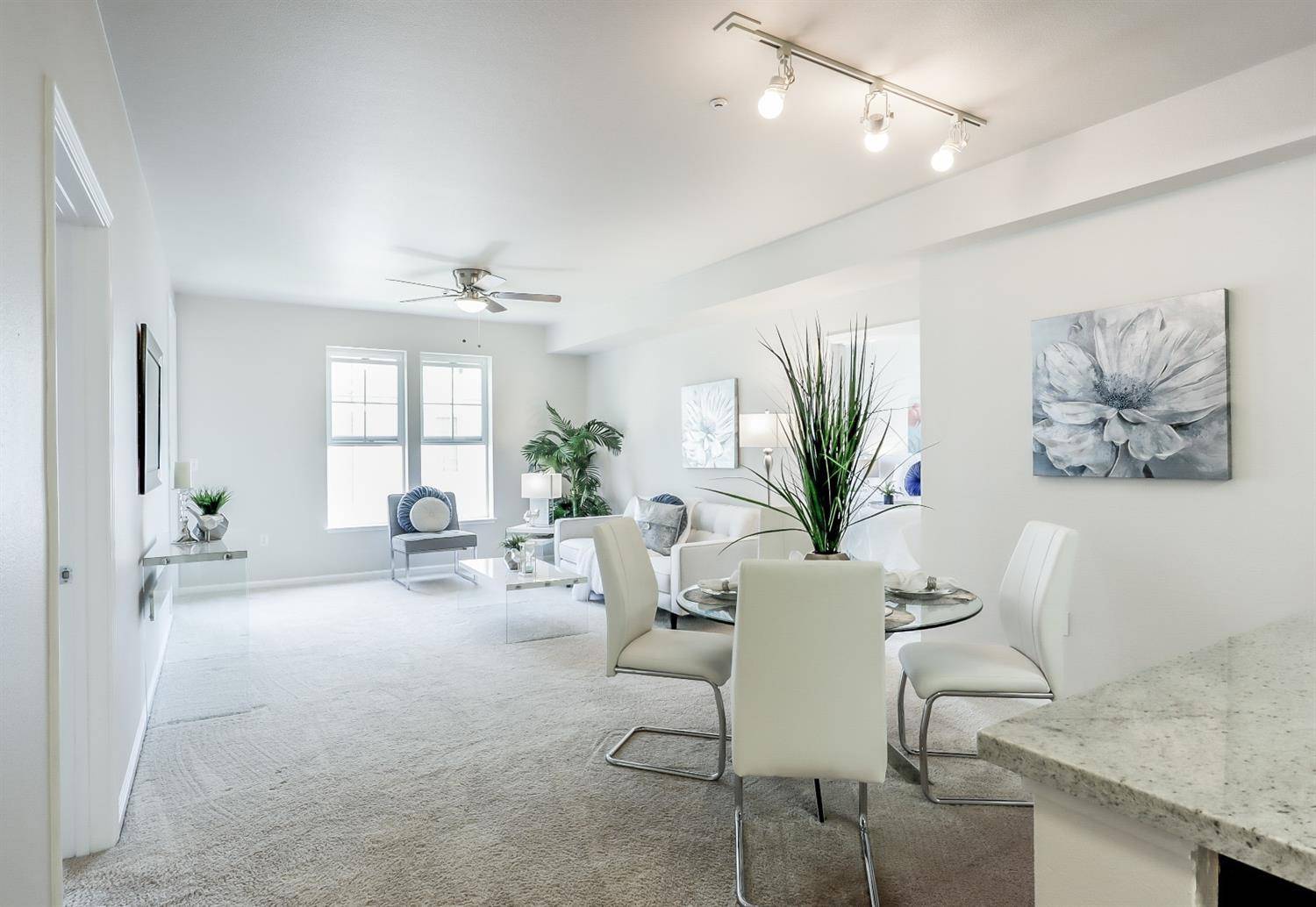 San Jose, CA 95110,1550 Technology DR #3099