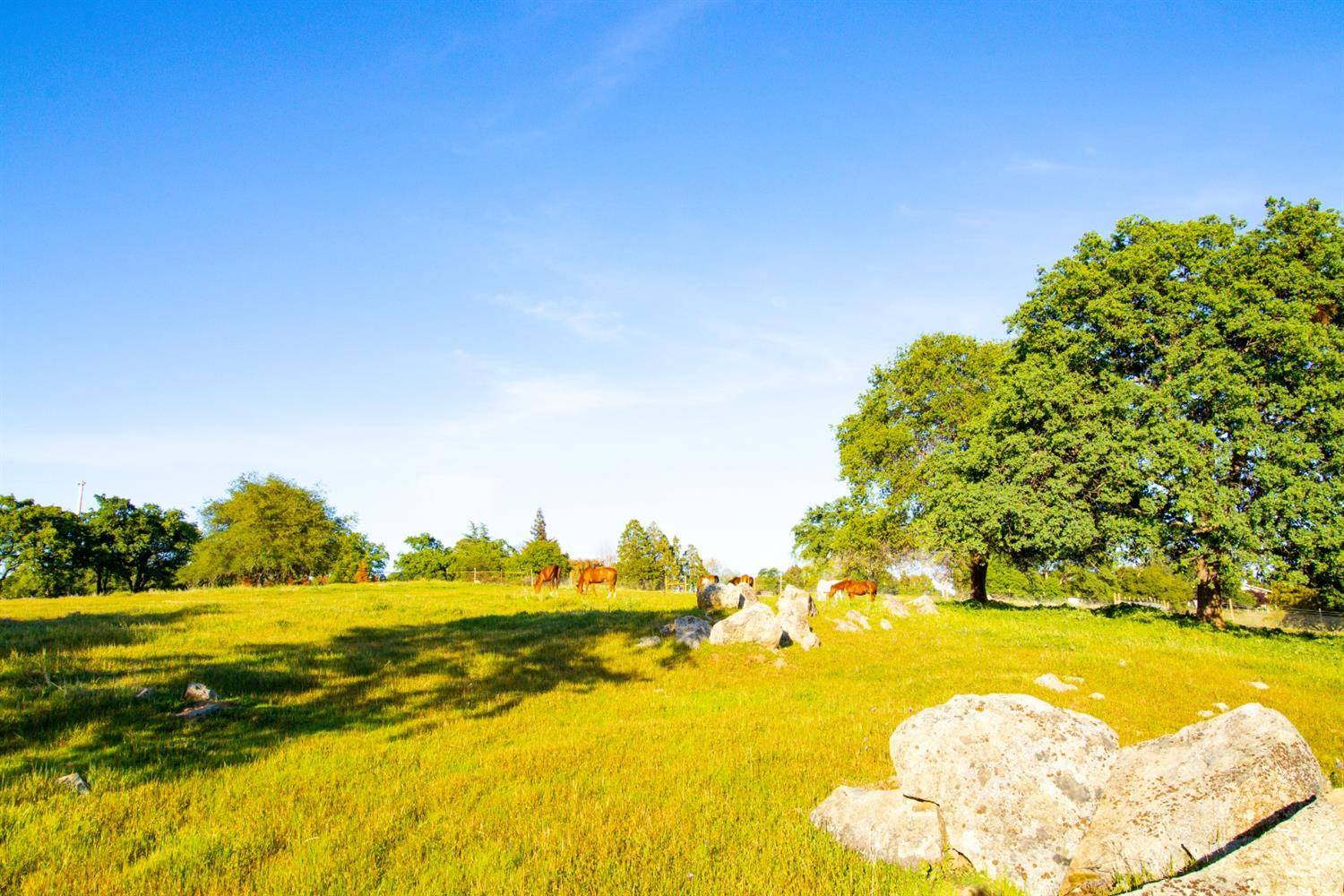 Newcastle, CA 95658,Parcel-2 Crater Hill Road