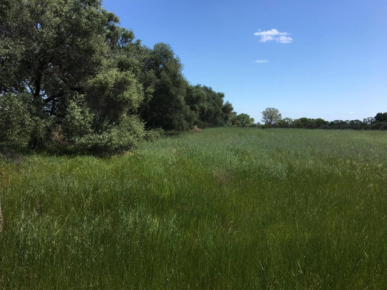 Esparto, CA 95627,0 County Road 23