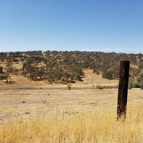 Smartsville, CA 95977,0 Walsh-Parcel 1