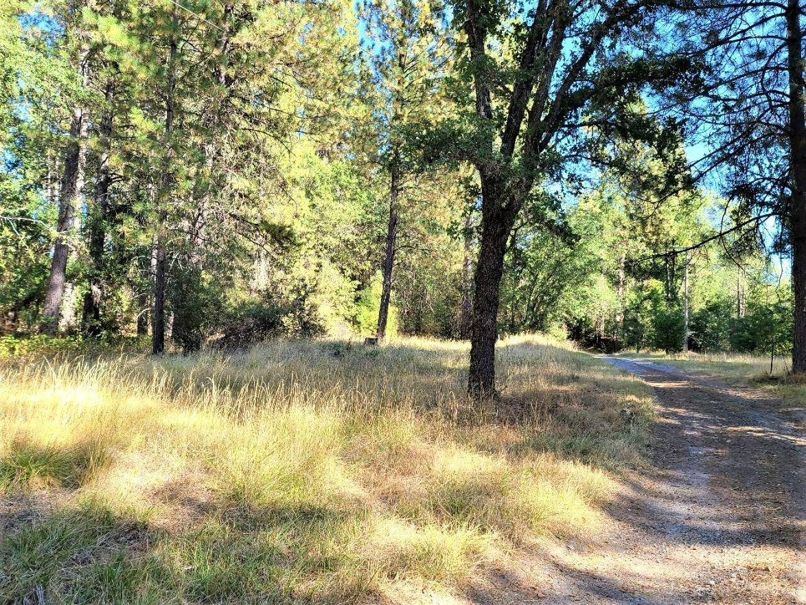 Rail Road Flat, CA 95257,1886 Liberty Valley RD