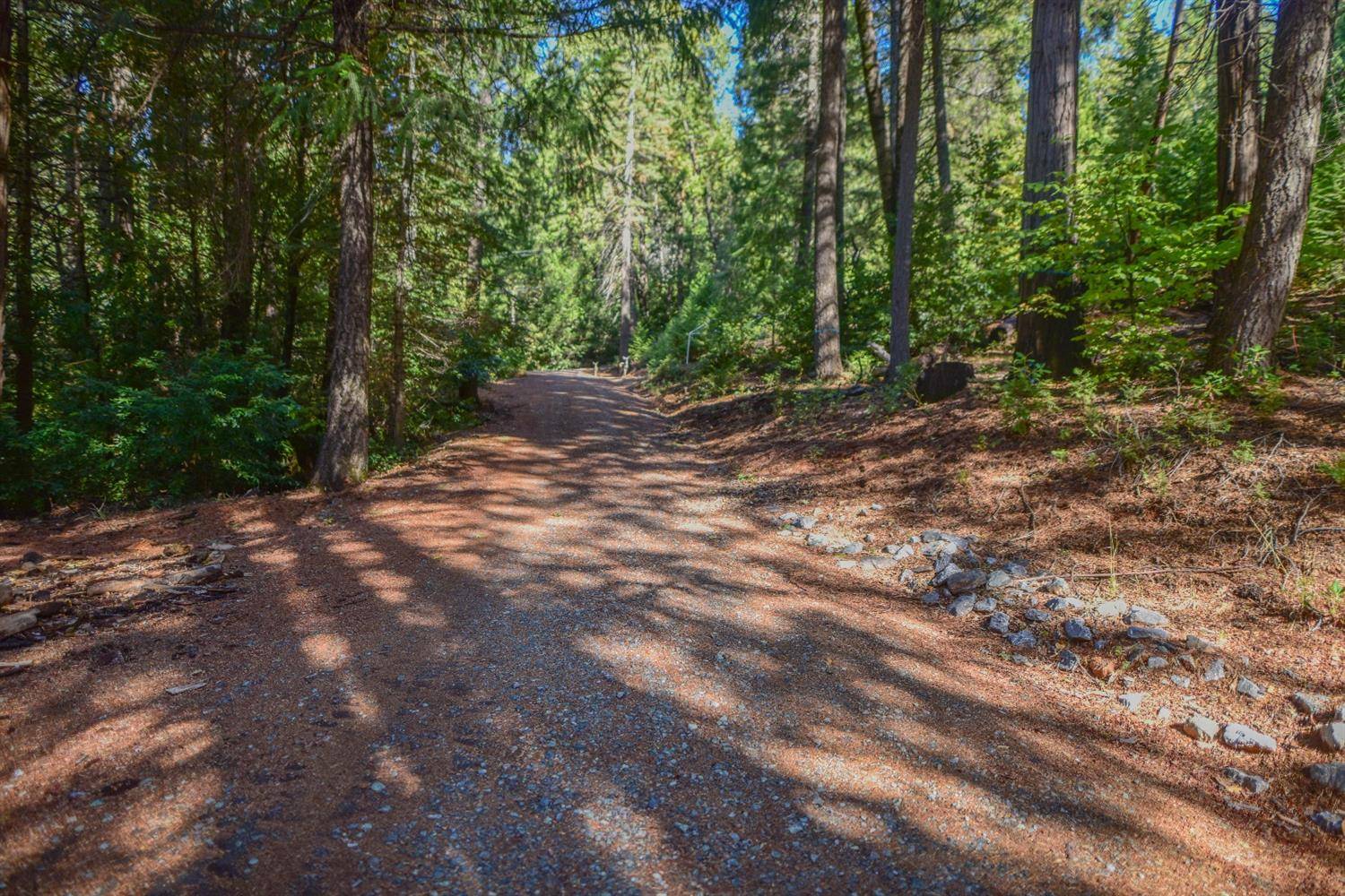 Georgetown, CA 95634,3440 Woodpecker CT