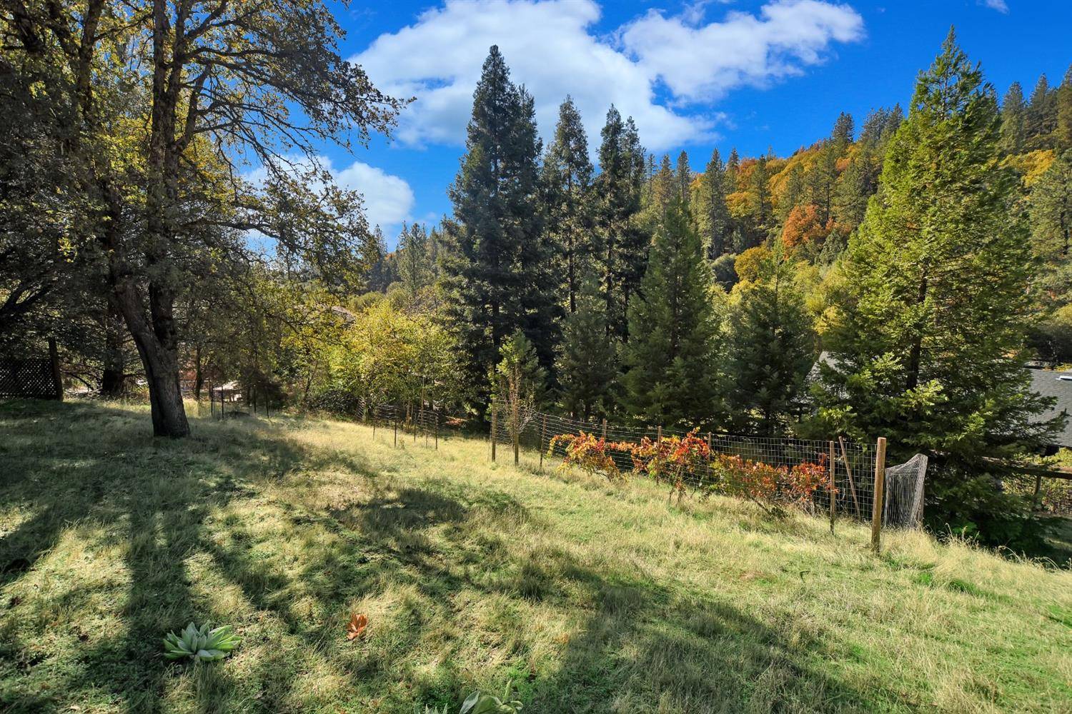 Grass Valley, CA 95949,15810 Brewer RD