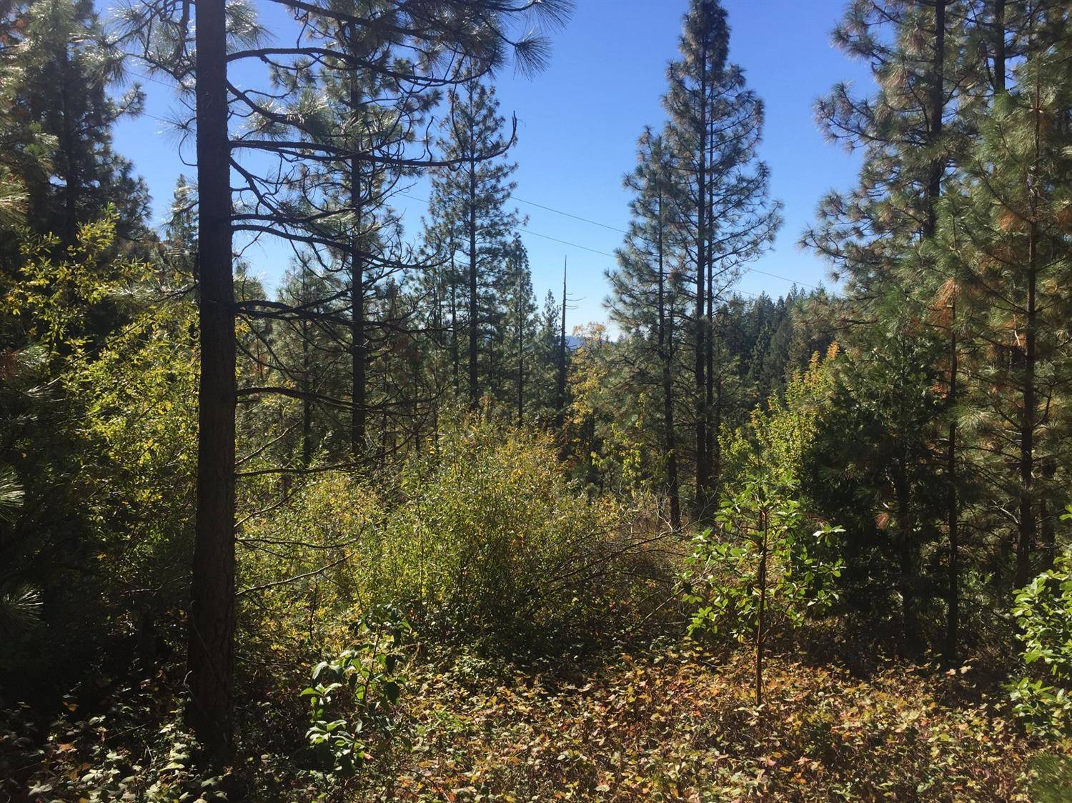 Challenge, CA 95925,10747 Forbestown RD