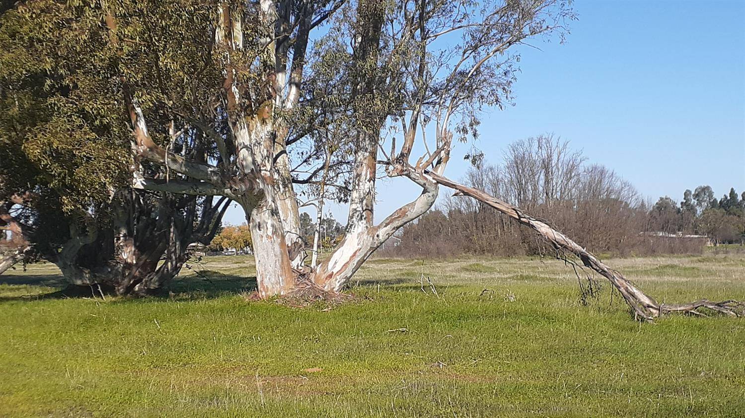 Wilton, CA 95693,1 Alta Mesa East RD