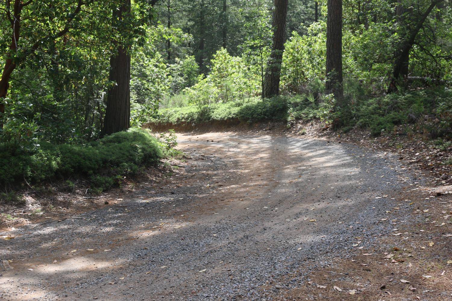 Georgetown, CA 95634,8533 Wentworth Springs RD