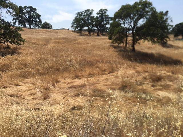 La Grange, CA 95329,546 Pepito