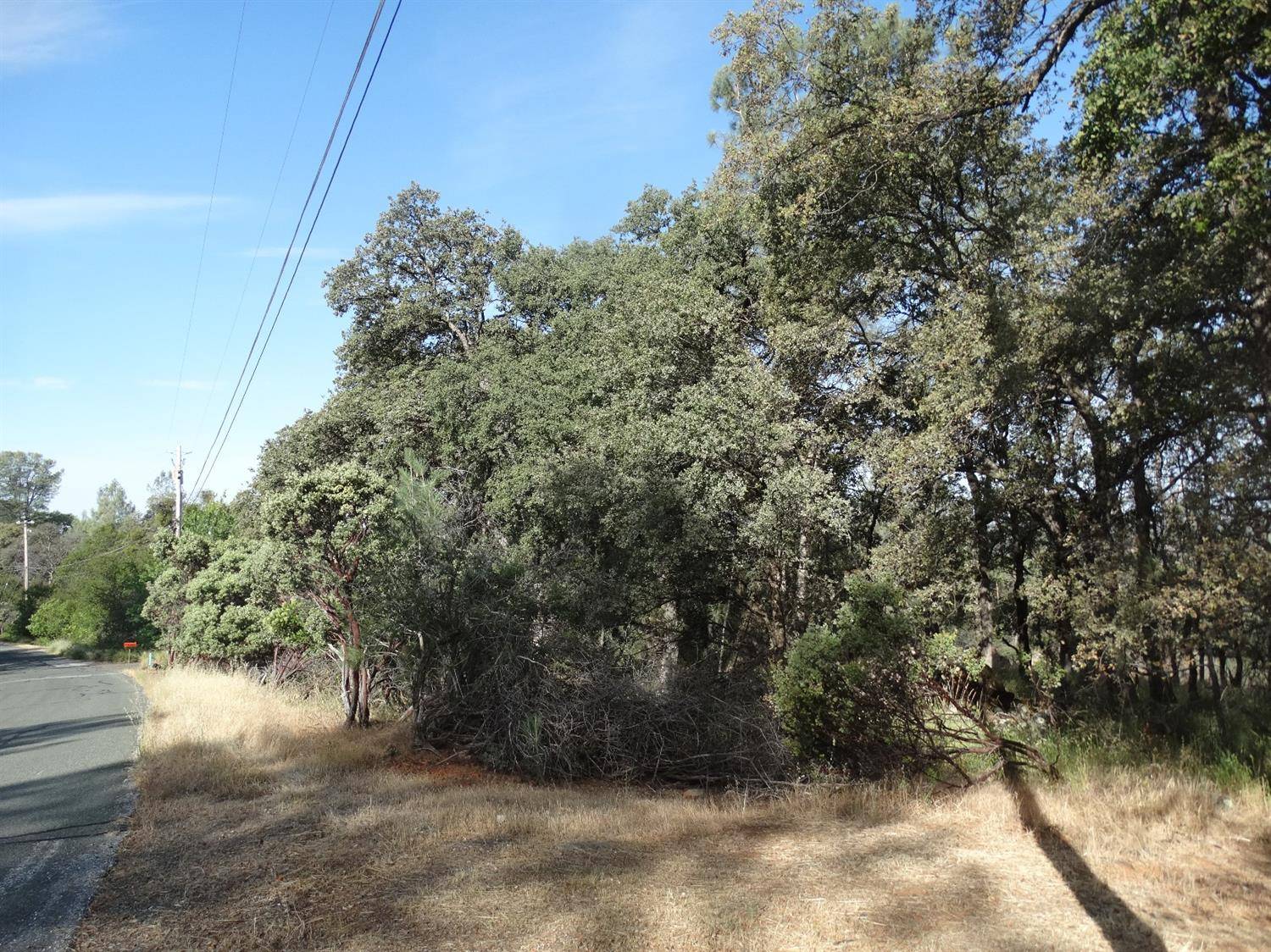 Auburn, CA 95602,24988 Rodeo Flat RD