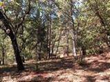 Foresthill, CA 95631,1 Foresthill