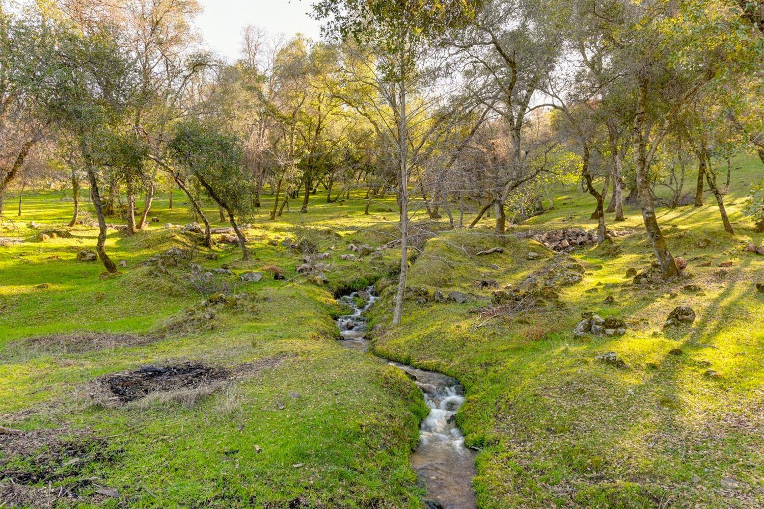 Newcastle, CA 95658,440 Slowdown RD